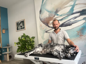 Ami de Dominique Giniaux