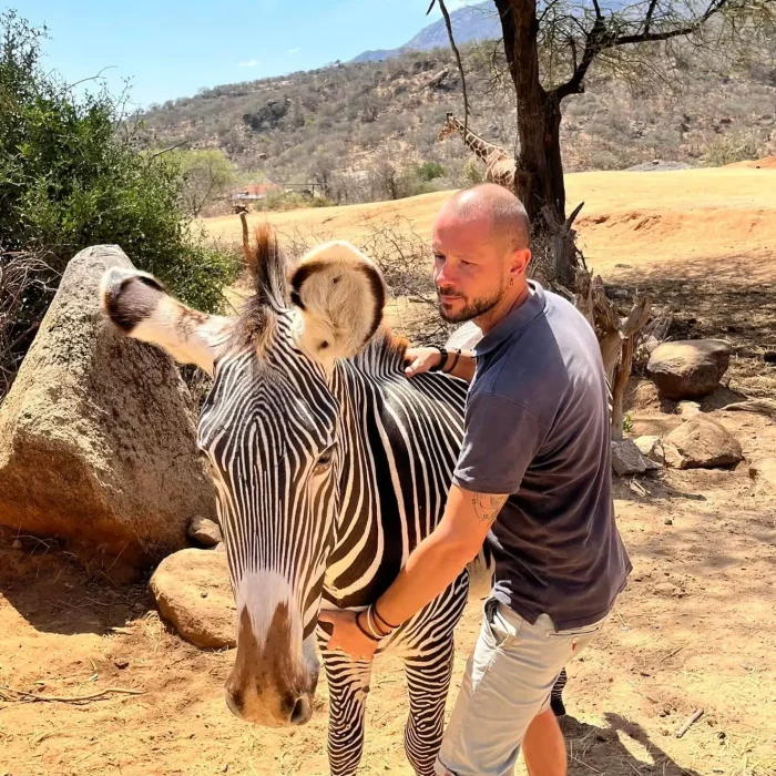 zebre